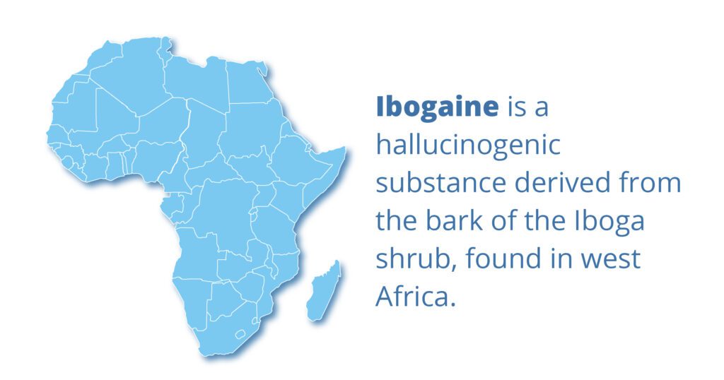 ibogaine is a hallucinogenic substance derived from the bark of the iboga shrub