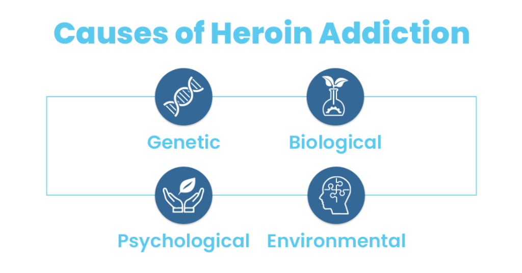 Picture naming the causes of Heroin Addiction
