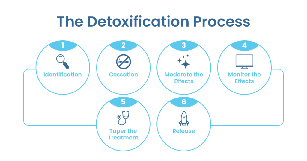 detoxification process chart 1024x538 1 detox and rehab
