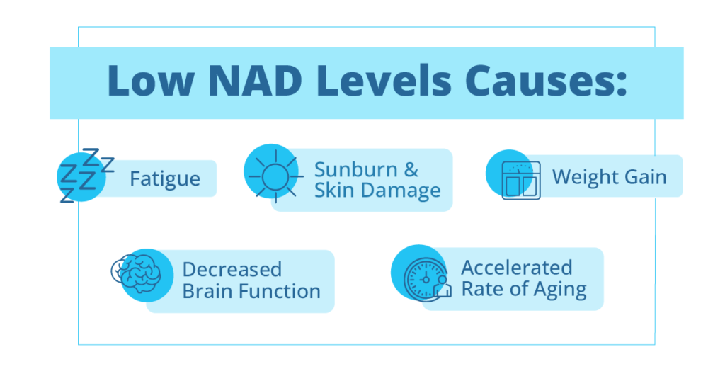 Picture highlighting the health problems related to low NAD levels IV therapy
 