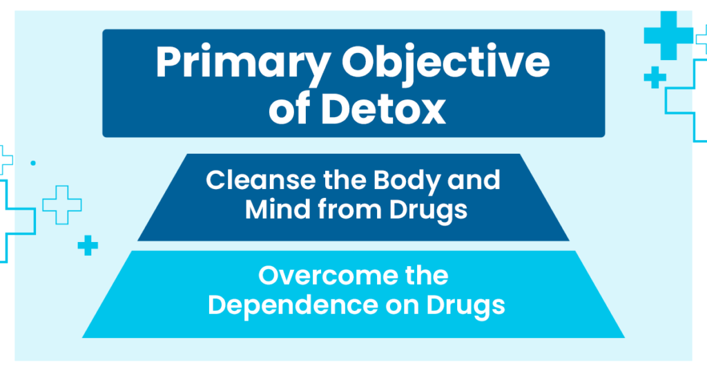 primary objective of detox