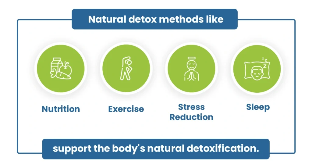 How to detox from drugs and alcohol: Natural detox methods like nutrition, exercise, stress reduction, and sleep support detoxification.