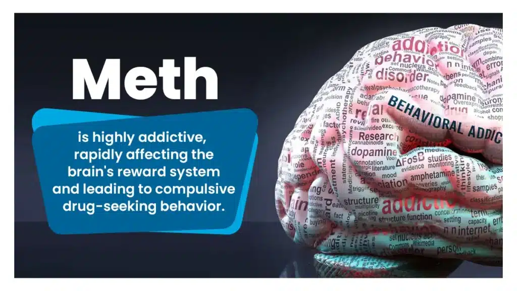 Brain covered in words and phrases like behavioral health, research, dopamine, etc. White text explains Meth is highly addictive.