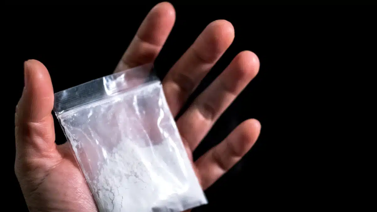 Photo of a hand holding a small bag of white powder.