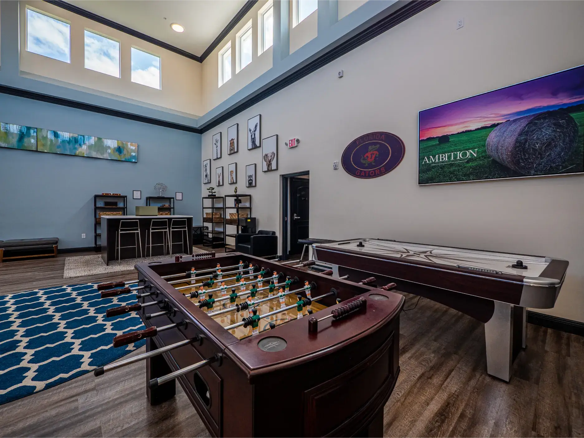 Haven Detox Florida Facility Game Room