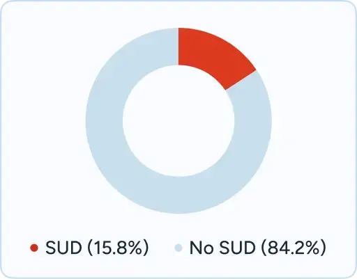 Donut chart from Arkansas showing SUD (15.8%) vs No SUD (84.2%).