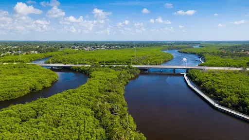 Green wetland in Port St Lucie with winding river and blue sky.