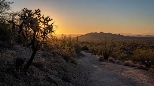 San Tan Valley, Arizona — desert landscape at sunset with cactus and mountains.