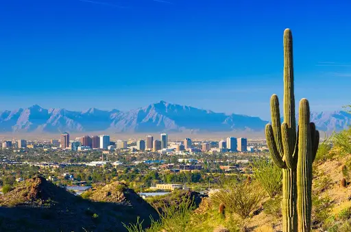 Arizona — desert hillside with cactus and city skyline in distance.