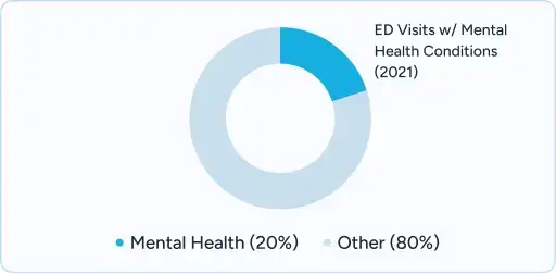 Donut chart showing Drugs/Alcohol (19.1%), Linked Health (20%), and Other (80%).
