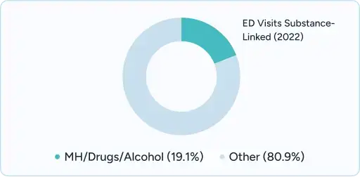 Donut chart showing Drugs/Alcohol (19.1%), Linked Health (20%), and Other (80%).