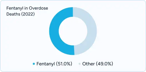 Donut chart showing Fentanyl (51.0%) vs Other (49.0%)