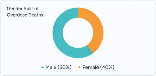 Donut chart showing Male (60%) vs Female (40%)