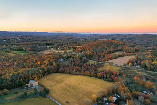 An aerial forest shot of Cherry Hill New Jersey