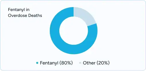 Donut chart showing Fentanyl (80%) vs Other (20%).