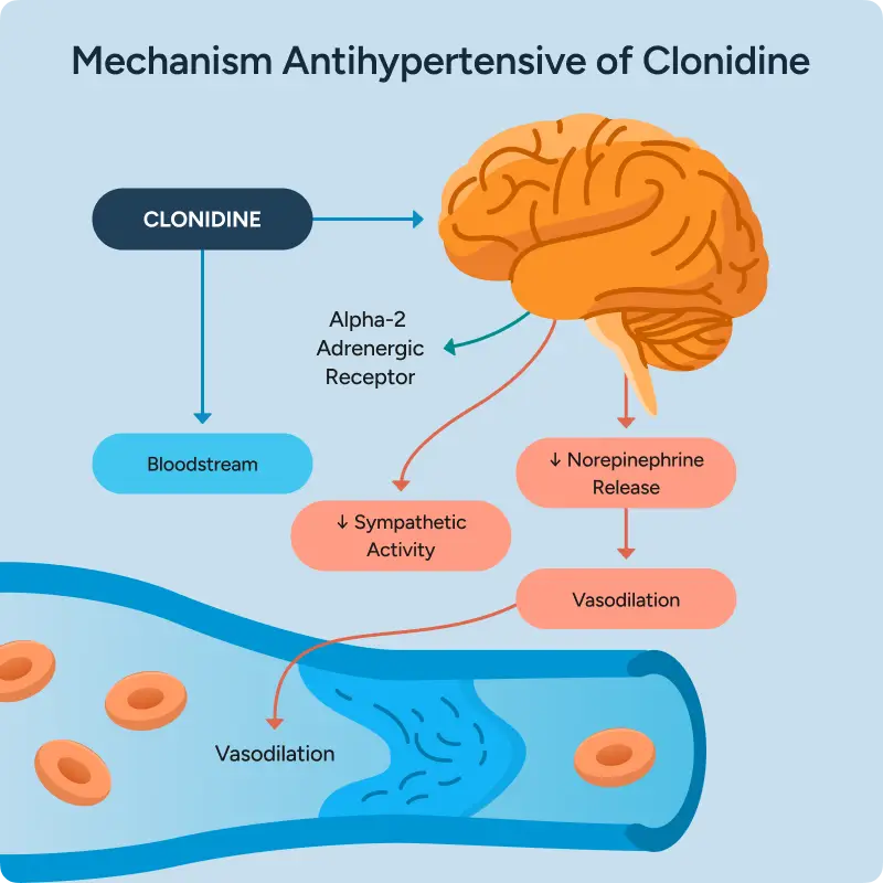 Mechanism Antihypertensive of Clonidine