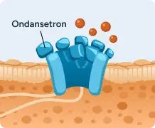 Ondansetron Receptors