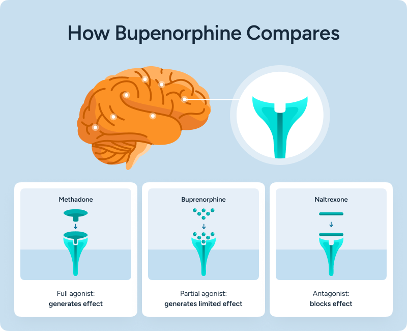 Infographic comparing buprenorphine, methadone, and naltrexone, showing how each medication interacts with opioid receptors as a full agonist, partial agonist, or antagonist.