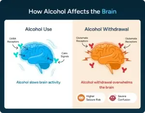 How Alcohol Affects the Brain