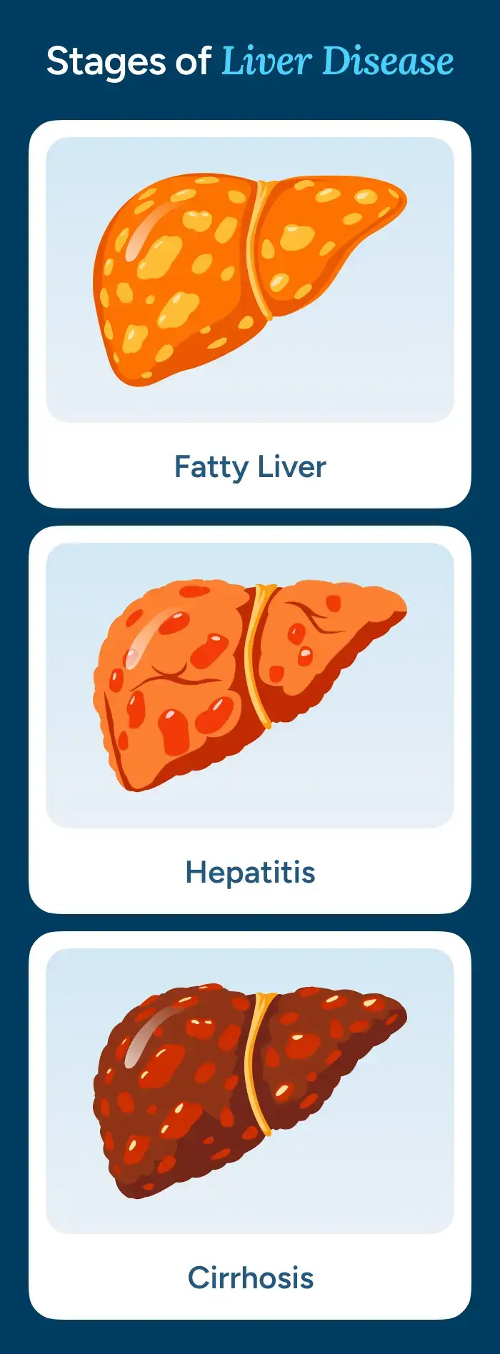Stages of Liver Disease