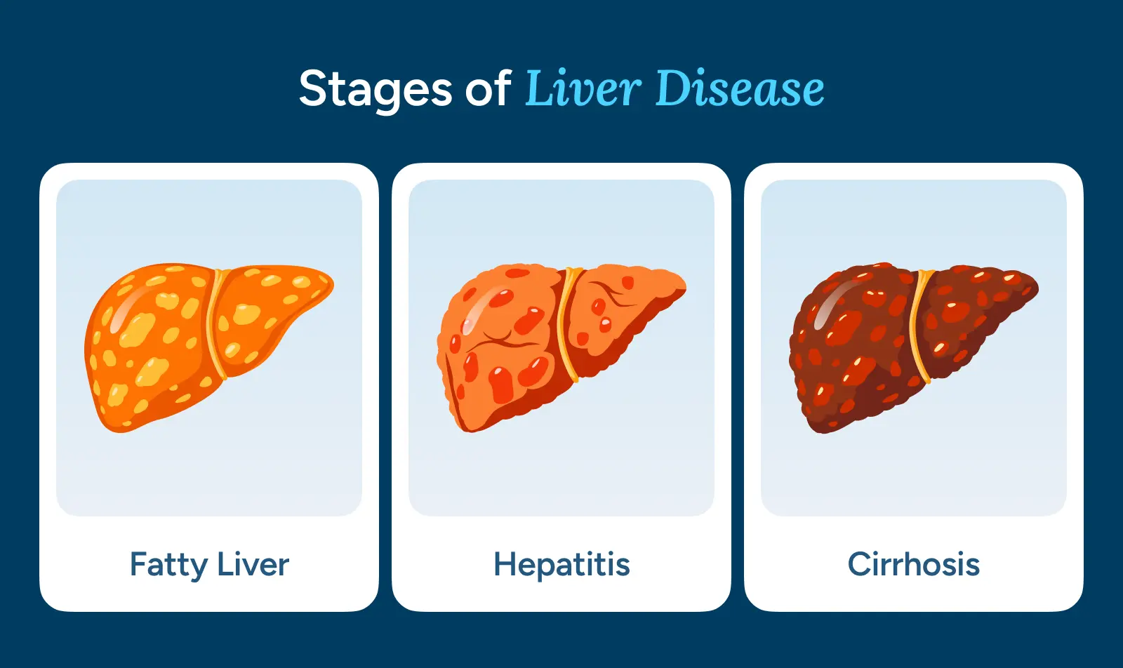Stages of Liver Disease