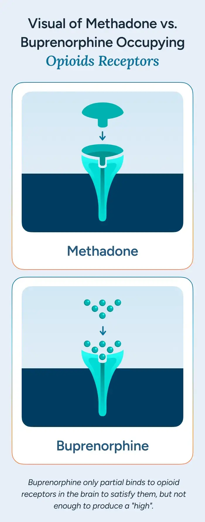 Visual of Methadone vs. Buprenorphine Occupying Opioids Receptors
