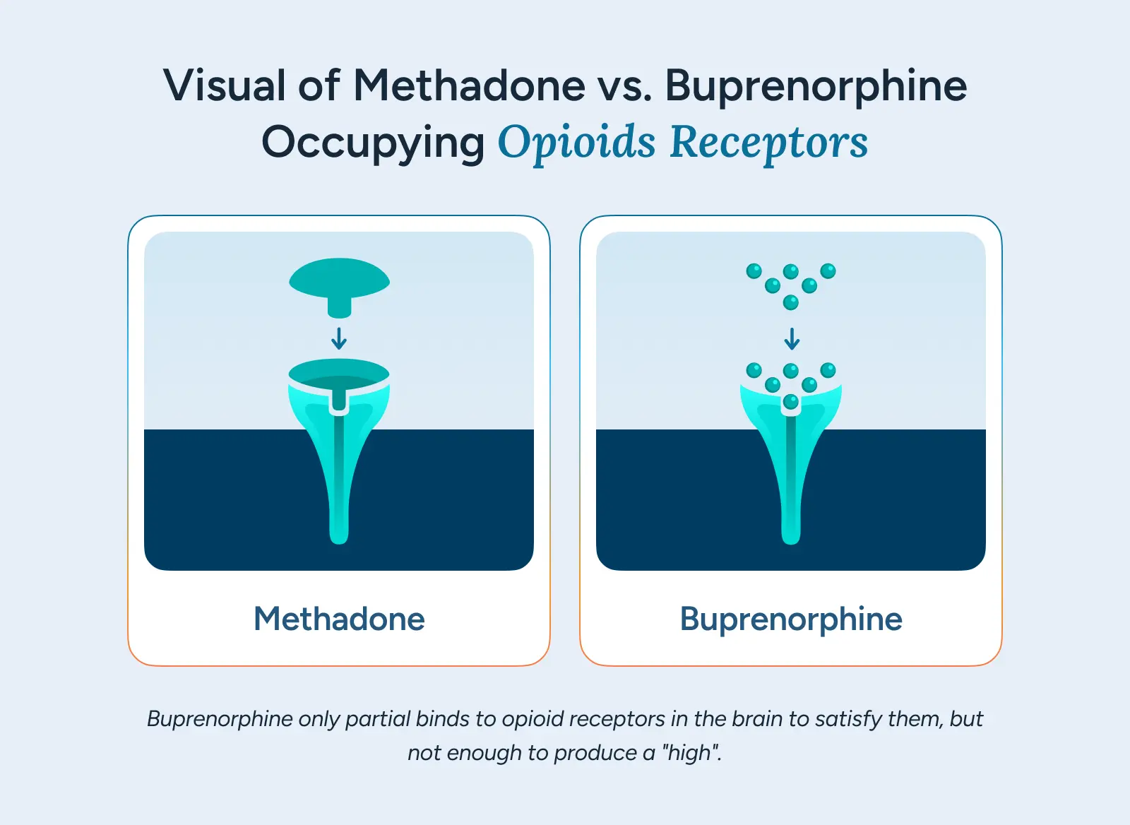 Visual of Methadone vs. Buprenorphine Occupying Opioids Receptors